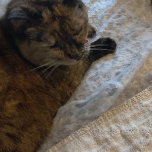 Meet your Posher, Larry